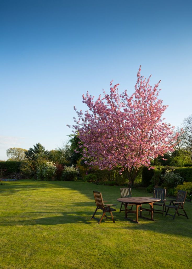 Avoir un beau jardin est très relaxant